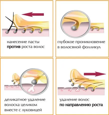 Tésztarecept shugaring