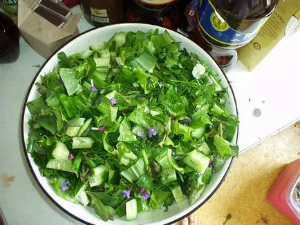 Salata de urzică - vom afla rețetele cele mai delicioase