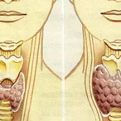 adenom toxic al glandei tiroide - care este, cauze, tratament fara interventie chirurgicala