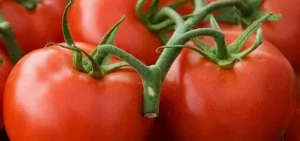 Tomatele într-o seră cele mai bune soiuri de tomate, recolta, sămânță, descriere, comentarii, plantare, cultivare