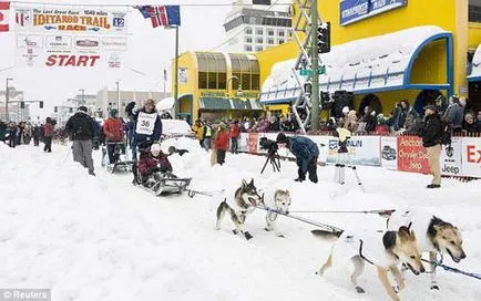 Hagyományos verseny kutya szánok Alaszkában - 1600 kilométer
