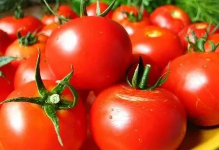 Tomatele într-o seră cele mai bune soiuri de tomate, recolta, sămânță, descriere, comentarii, plantare, cultivare