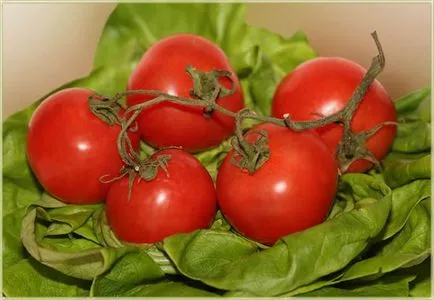 Tomatele într-o seră cele mai bune soiuri de tomate, recolta, sămânță, descriere, comentarii, plantare, cultivare