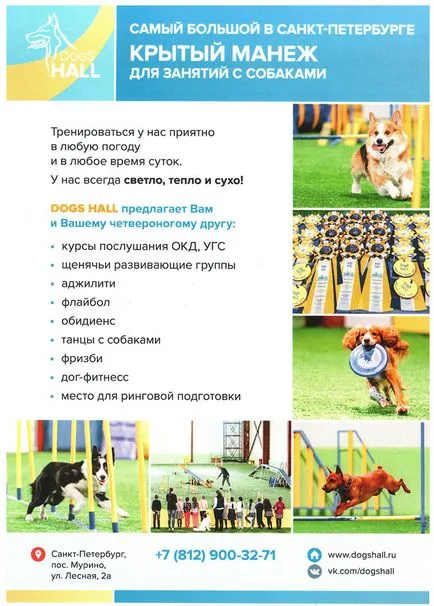 Gym állatok - Veterinary Clinic 