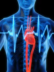 Симптомите на сърдечна недостатъчност, знаци и лечение на народната медицина