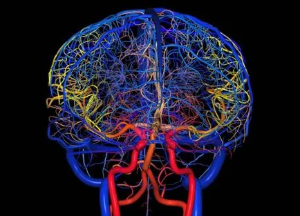 Sinus bradycardia - besorolás, okok, tünetek, elsősegély és kezelés