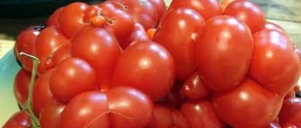 Tomate miracol soiuri de sare de acoperire