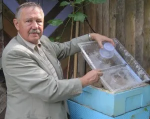 Készítsen saját kezét méhészeti termelés és elhelyezése a kaptárak