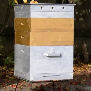 Създайте свои собствени ръце пчелин производство и поставяне на кошерите