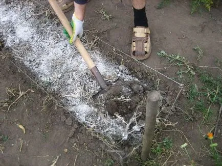 Dupla szuperfoszfát alkalmazása és használata