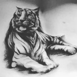 Tattoo Tiger Tattoo érték, 37 fotó, vázlatok