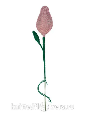 Reakcióvázlatok írják le kötés liliom virág száron összekötő a horogelemek