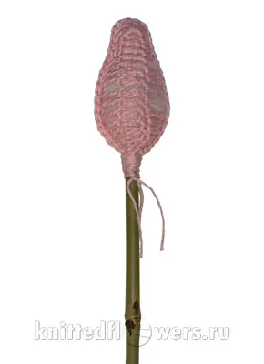 Reakcióvázlatok írják le kötés liliom virág száron összekötő a horogelemek