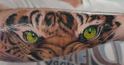 Tattoo Tiger Tattoo érték, 37 fotó, vázlatok