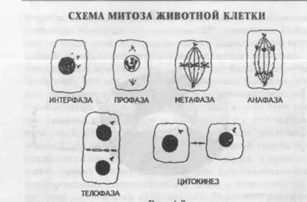 Тема №2 - studopediya