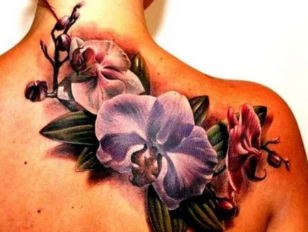 Orhidee tatuaj - ceea ce înseamnă schițe tatuaj și fotografii