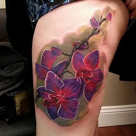 Orchid Tattoo стойност татуировки, 36 снимки, скици