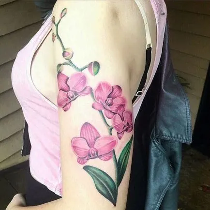 Orchid Tattoo стойност татуировки, 36 снимки, скици