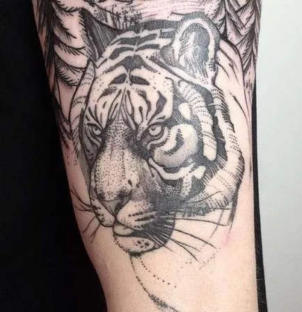 Tattoo Tiger Tattoo érték, 37 fotó, vázlatok