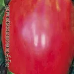 Arizona semințe de tomate tomate