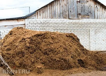 Технологията за отглеждане на гъби