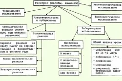 туберкулоза устната