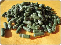 Travzbor - Spirulina, a használata Spirulina por, kapszula és pehely