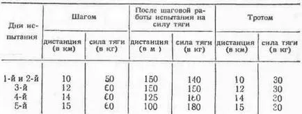 Képzési és tesztelése csülök teljesítmény