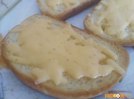 Тост със сирене на тиган - рецепта със снимки, как да се готви пържен хляб