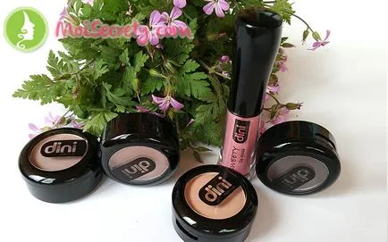 produse cosmetice decorative Dini din Ucraina