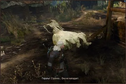 The Witcher 3 Wild Hunt - DASHING comanda la bine cum să omoare o fantomă