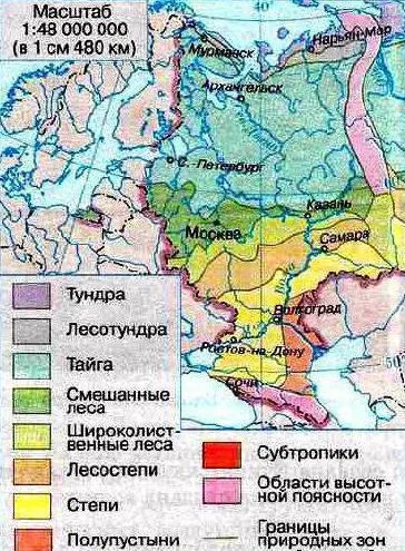 Източноевропейска равнина, климат, природни зони, географско местоположение