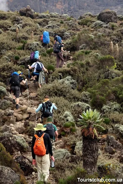 Alpinism Kilimanjaro versiune economie - recreere