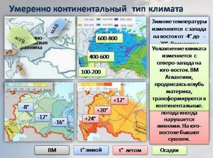 Източноевропейска равнина, климат, природни зони, географско местоположение