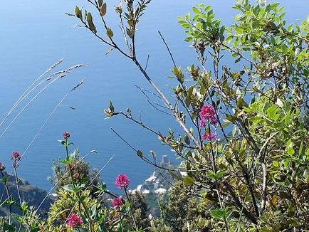 Minden Positano Olaszország látnivalók, szállodák, bevásárló, strandok, hogyan juthat