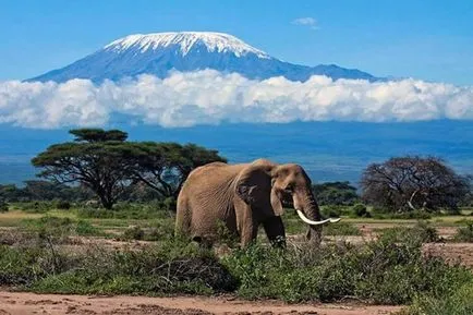 Zanzibar - Kilimandzsáró, hogyan lehet egy idegenvezetést