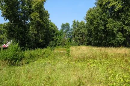 Castle Wicko a Muromtsevo - egy mese a valóság az, hogy majdnem elvesztette az út egy életre