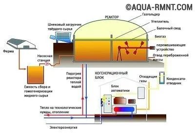 Инсталация за производство на биогаз от животински тор със собствените си ръце у дома