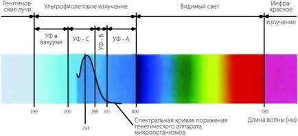 Ултравиолетовата и защита от него