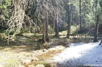 Zubryatnik a Toksovo, személyes benyomások