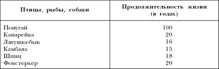 11 Продължителността на живота на американски кокер шпаньол - американски кокер шпаньол