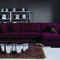 75 Варианти на лилаво дивана в интериора на снимката