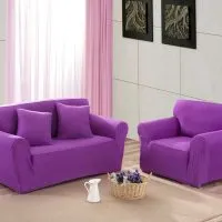 75 Variante de canapea violet în interior în fotografie