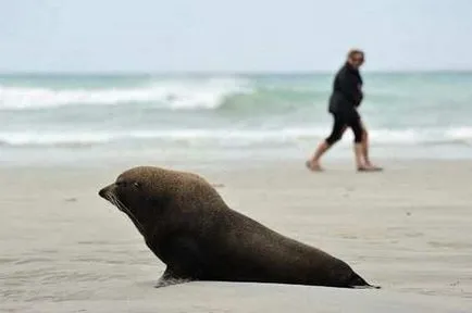 5 Egzotikus típusú turizmus