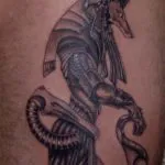 Valoarea tatuaj Anubis pentru bărbați și femei, schițe, fotografii