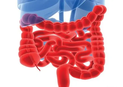 Атрофичен и subatrophic Proctosigmoiditis