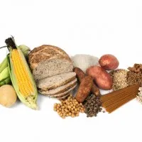 Proteinele și metabolismul proteinelor din corpul uman