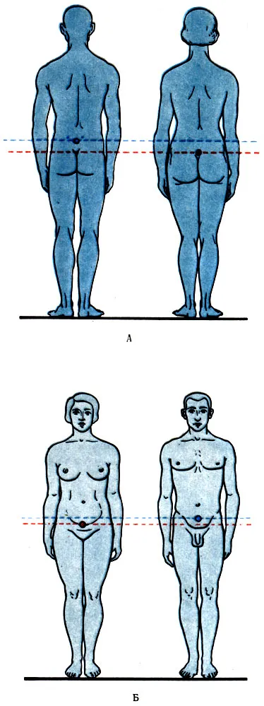 центъра на тежестта на тялото