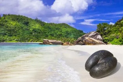 Dolgom Seychelles