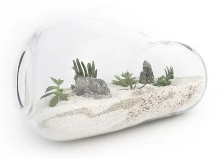 Miracle într-o sticlă sau modul de a face un terariu pentru plante cu propriile lor mâini, hobbiterra - busola din lume